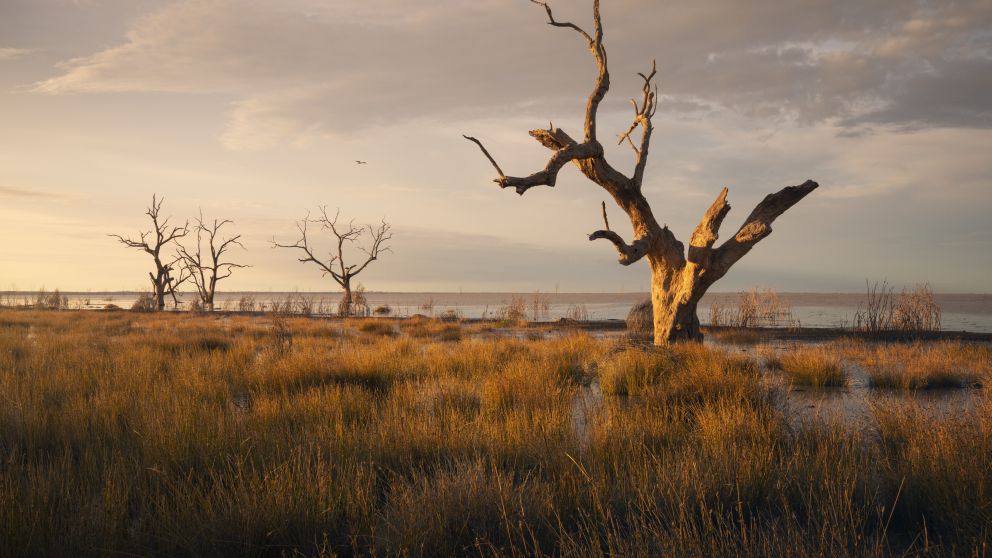 Menindee Lakes